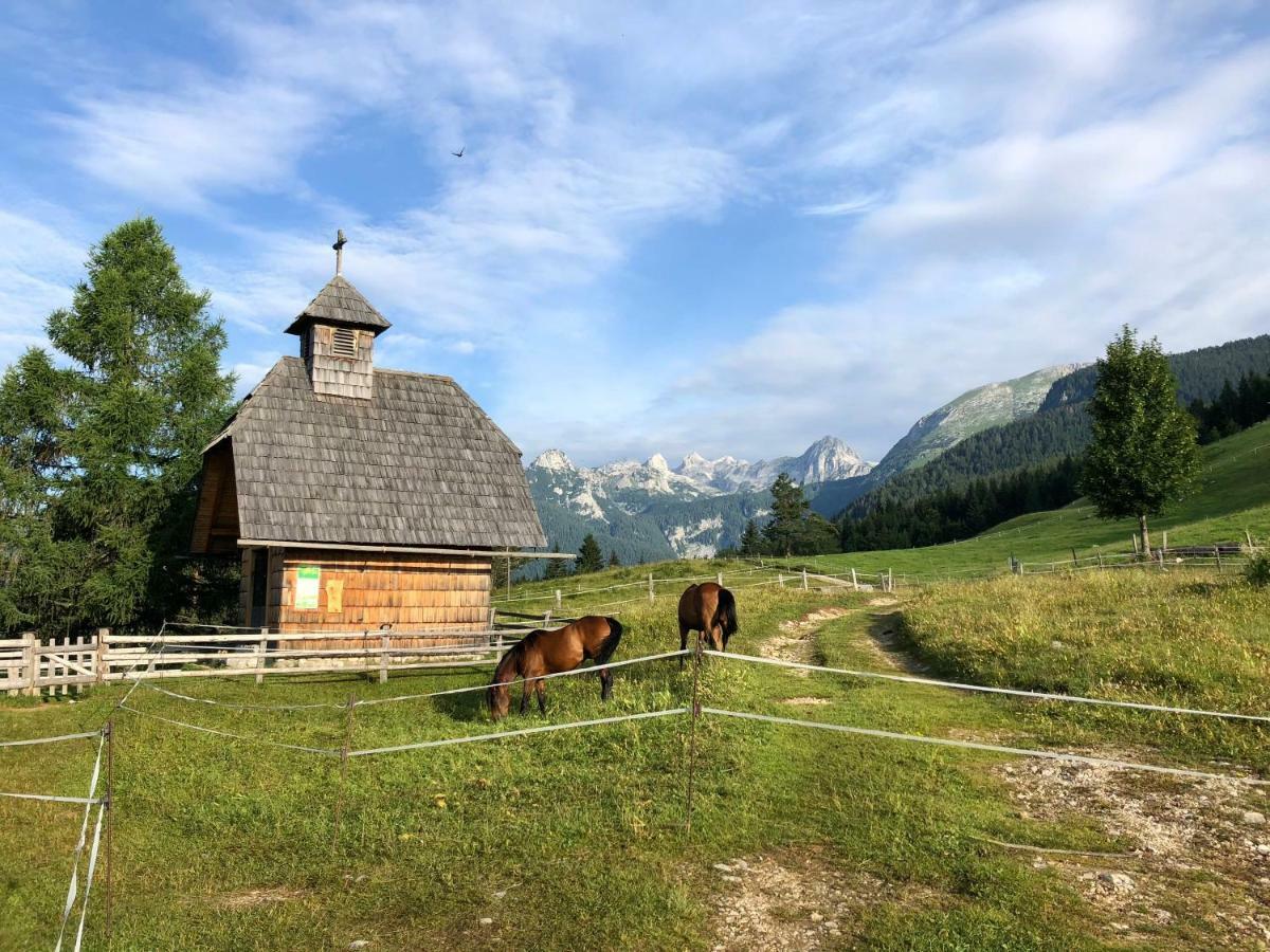 Holiday home House Franc *